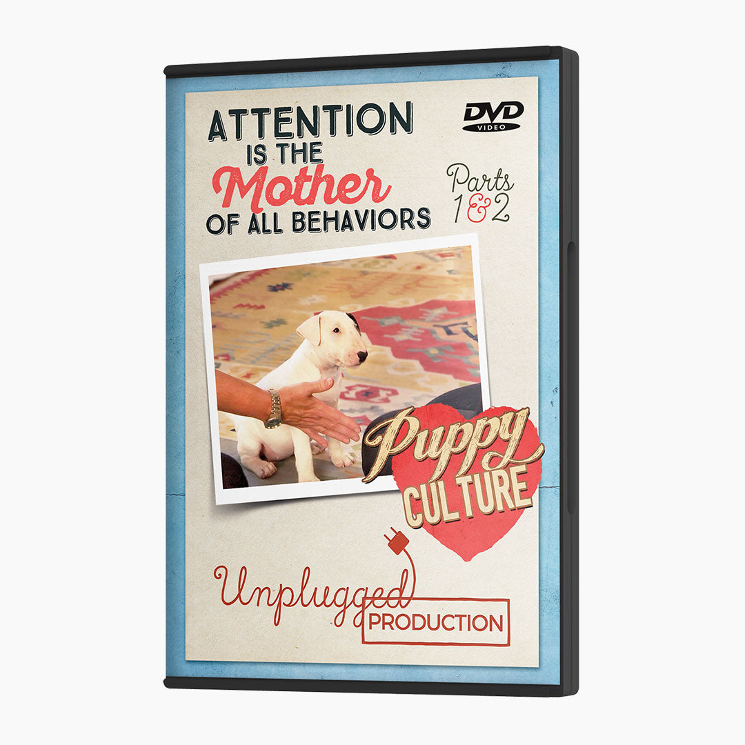 Attention Is the Mother of All Behaviors