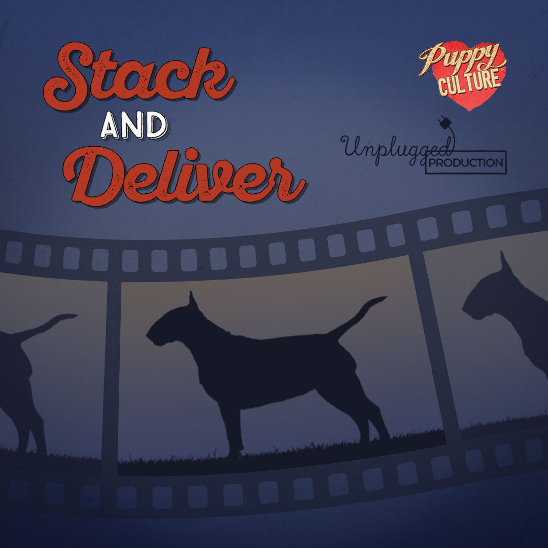 Essentials for Singletons – Show Package PLUS